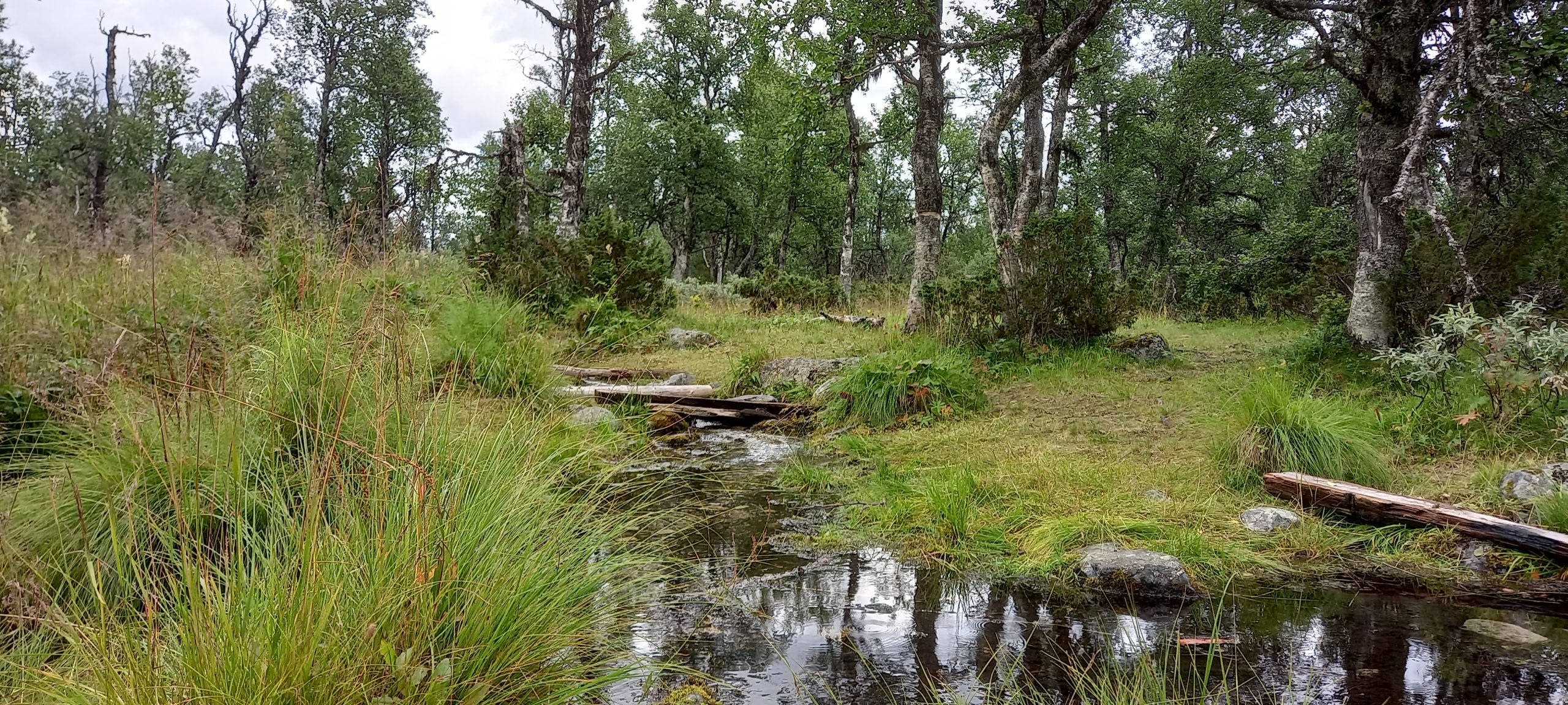 Watervalfenomeen